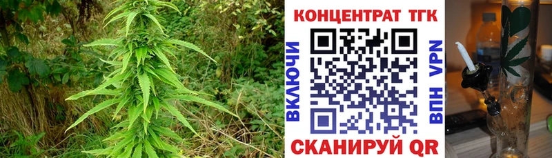 Дистиллят ТГК жижа  Купить  Дагестанские Огни 