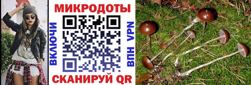 Купить где  Дагестанские Огни  Галлюциногенные грибы ЛСД 
